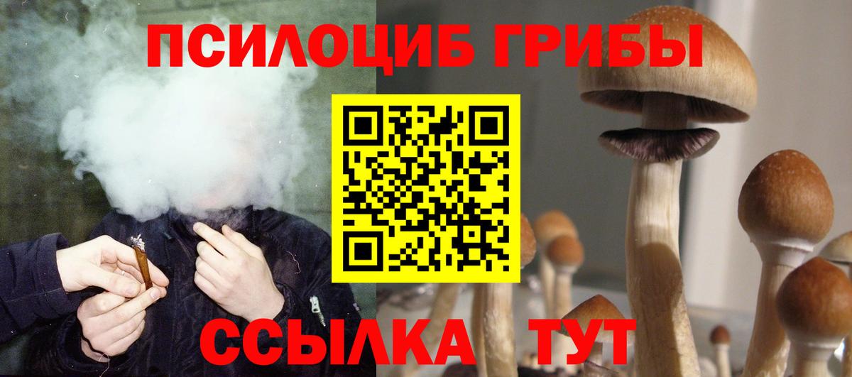 продажа наркотиков  Псилоцибиновые грибы ЛСД  Вход с VPN  Скопин 